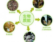 生物質能的優勢