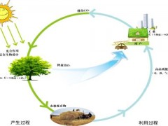 生物質能發展未來可期！