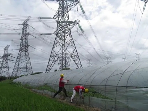 伊犁供電公司踏雪為村民保供電