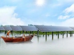 “魯鄂一家親”漁光互補光伏重點示范項目實現并網發電！